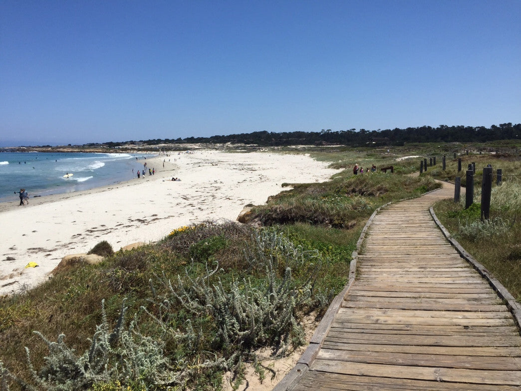 Beachside Boardwalk - Fragrance Oil