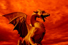 Dragons Blood IV - Fragrance Oil