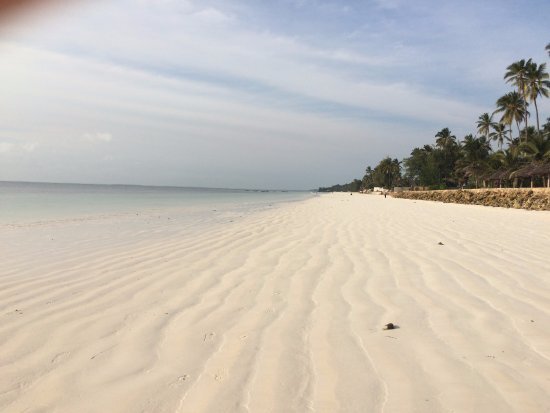 White Ocean Sands - Fragrance Oil