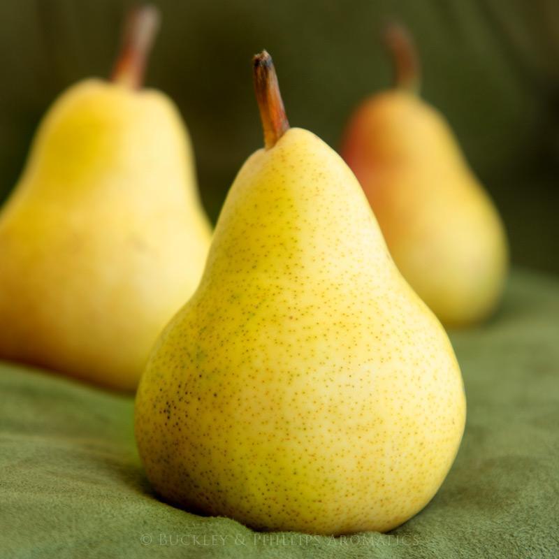 French Pear - Fragrance Oil