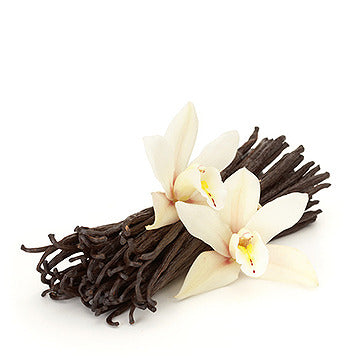 French Vanilla - Fragrance Oil