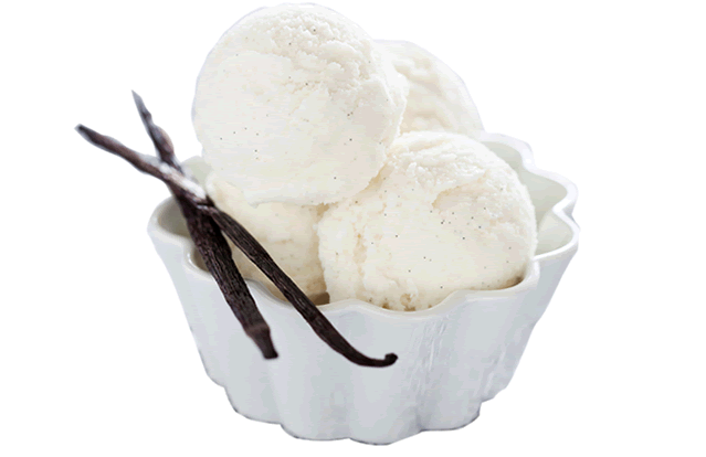 Gourmet Tahitian Vanilla - Fragrance Oil