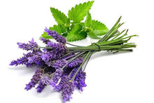 Lavender & Mint - Fragrance Oil