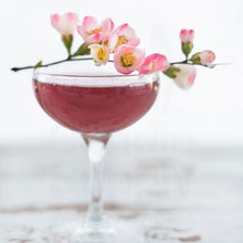 Cherry Blossom Sangria - Fragrance Oil
