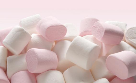 Marshmallow - Fragrance Oil