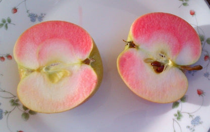 Pink Apple & Vanilla Frost - Fragrance Oil