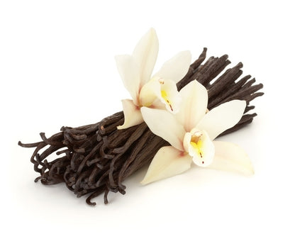Very Vanilla - Fragrance Oil