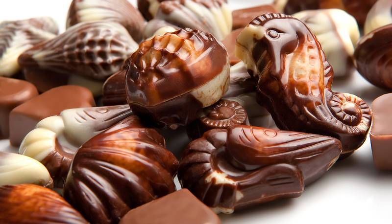 Belgium Chocolate - Fragrance Oil
