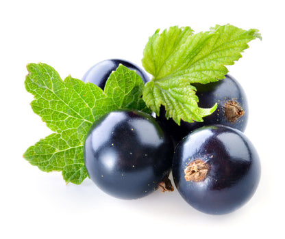 Blackcurrant & Plum - Fragrance Oil