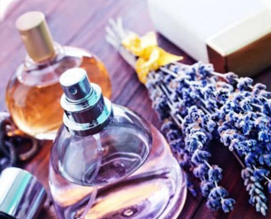Smoked Amber & Lavender Musk - Fragrance Oil