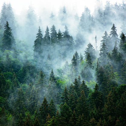 Misty Mountain - Fragrance Oil