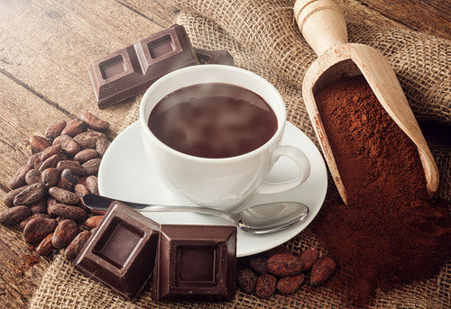 Cocoa Therapy - Fragrance Oil