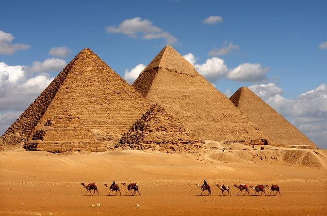 Egyptian Musk - Fragrance Oil