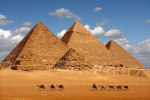 Egyptian Musk - Fragrance Oil