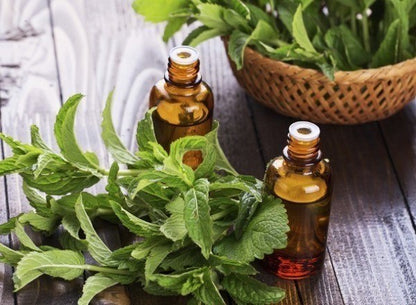Peppermint & Eucalyptus - Fragrance Oil