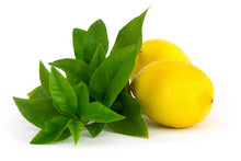 Lemon Verbena - Fragrance Oil