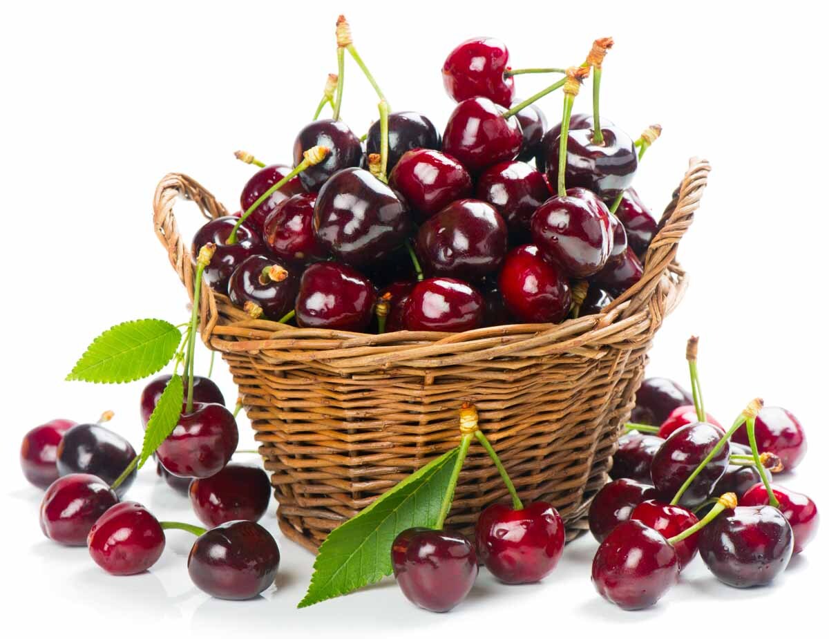 Black Cherry & Orange Spice - Fragrance Oil