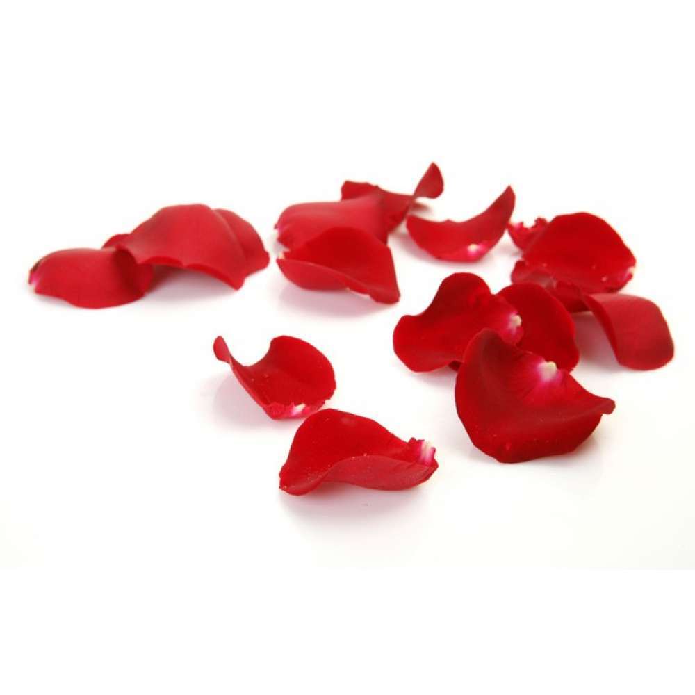 Velvet Petals - Fragrance Oil