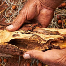 Australian Sandalwood - Fragrance Oil