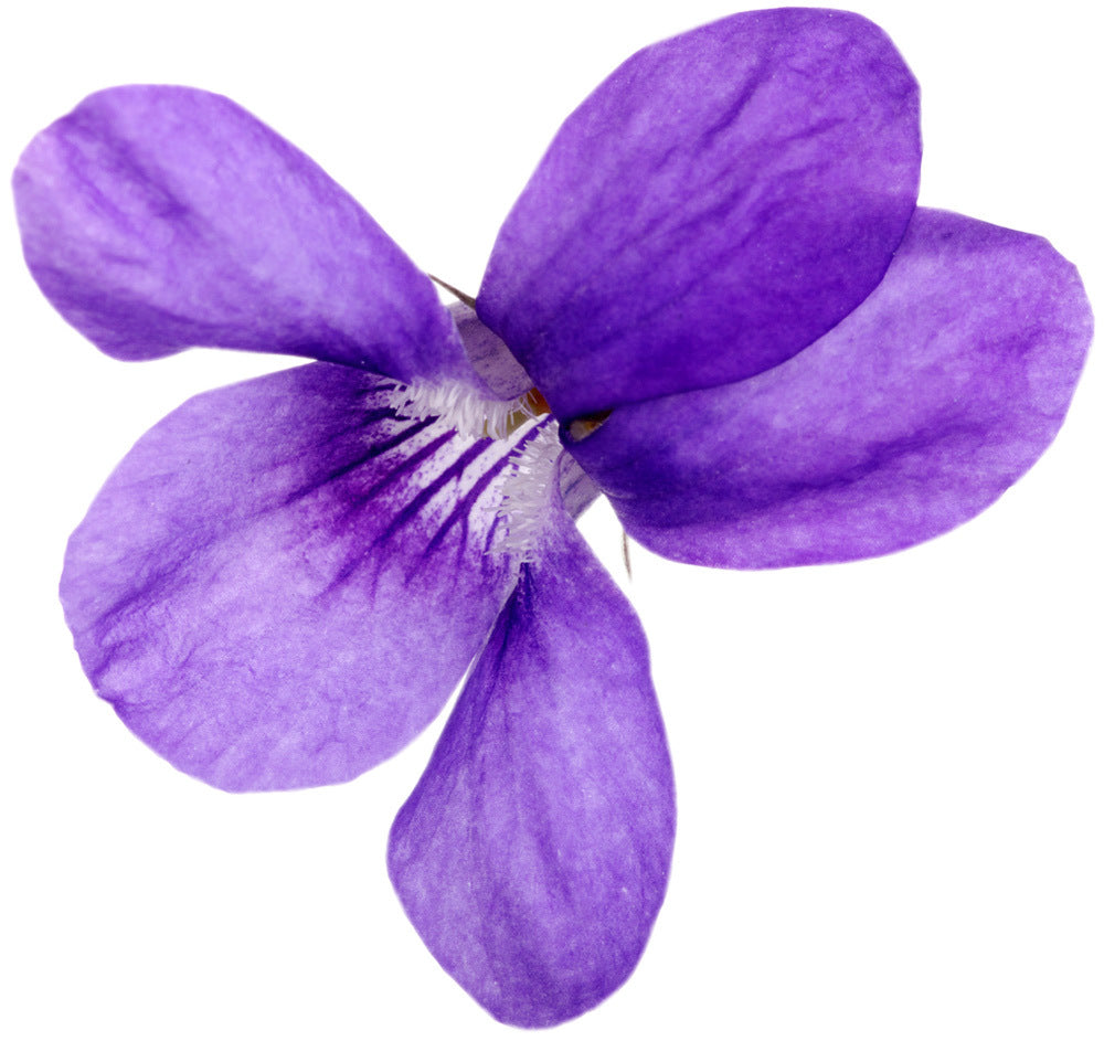 Violet Leaf - Fragrance Oil