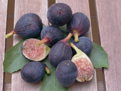 Black Fig & Guava - Fragrance Oil