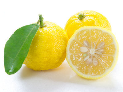 Yuzu Fruit - Fragrance Oil