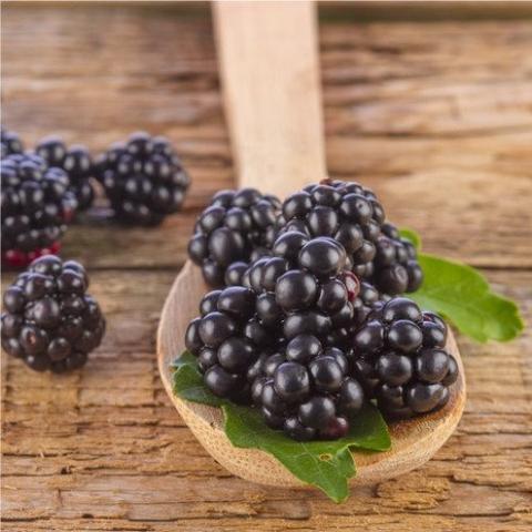 Black Raspberry - Fragrance Oil