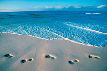 Clear Water Retreat - Fragrance Oil