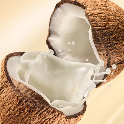 Coconut & Vanilla - Fragrance Oil