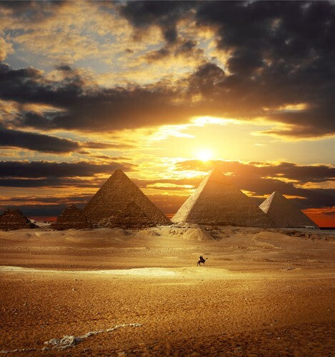 Egyptian Oudh - Fragrance Oil