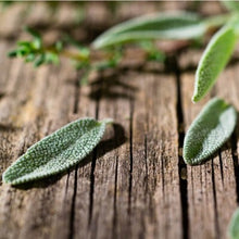 Fresh Sage & Driftwood - Fragrance Oil