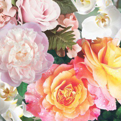 Flower Drum Type - Fragrance Oil