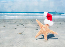 Island Christmas - Fragrance Oil
