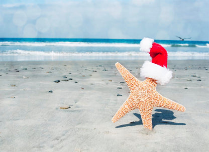 Island Christmas - Fragrance Oil