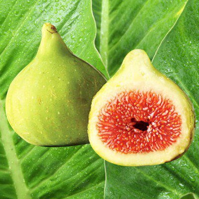 Italian Summer Fig - Fragrance Oil