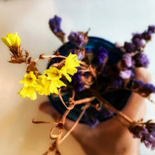 Lavender & Ylang Ylang - Fragrance Oil