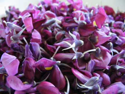 Sweet Mandarin & Basil - Fragrance Oil