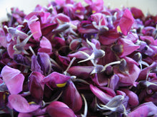 Sweet Mandarin & Basil - Fragrance Oil