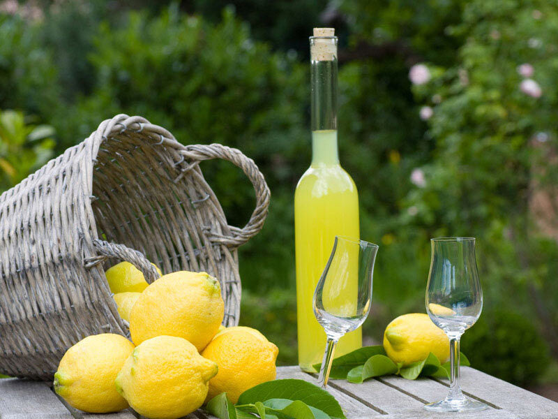 Limoncello - Fragrance Oil