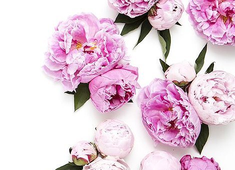 Lychee Peony - Fragrance Oil