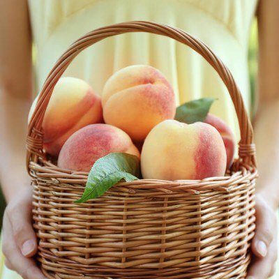 White Peach & Musk - Fragrance Oil