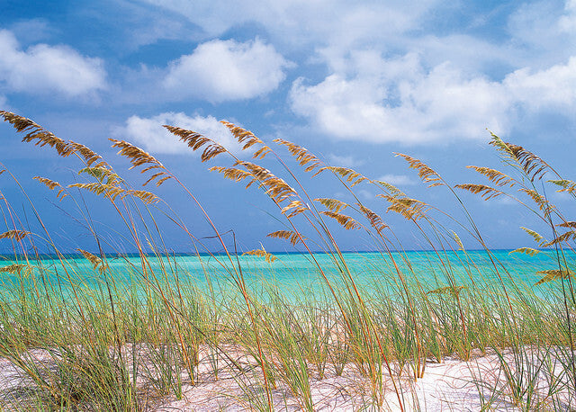 Ocean Breeze - Fragrance Oil