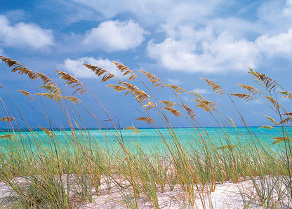 Ocean Breeze - Fragrance Oil