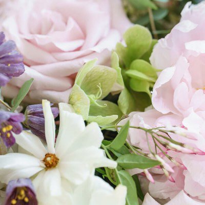 Wild Peony & Jasmine - Fragrance Oil