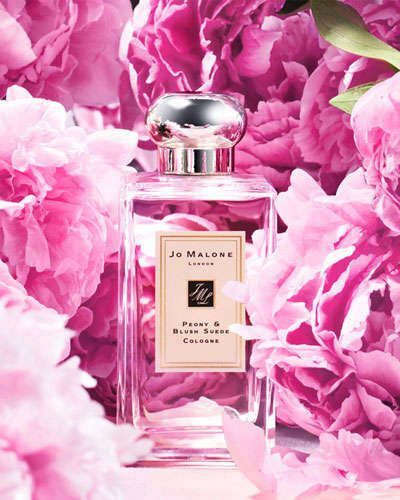 Peony & Blush Suede - Fragrance Oil