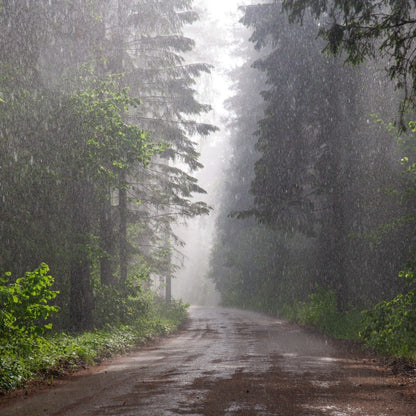 Rainstorm - Fragrance Oil