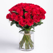Rose - Fragrance Oil