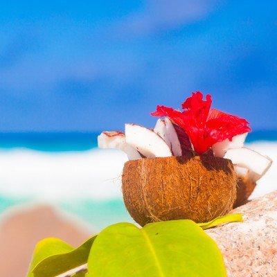 Coconut Palm & Hibiscus - Fragrance Oil