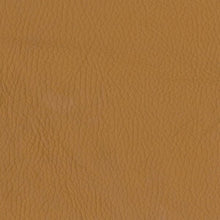 Vintage Leather & Sandalwood - Fragrance Oil