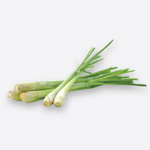 Sweet Lemongrass - Fragrance Oil
